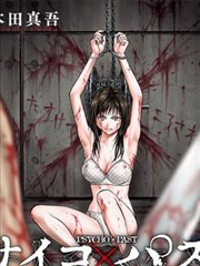 漫画《龙与虎》海报